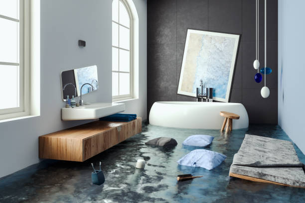 Best Ceiling water damage repair  in Anaconda, MT