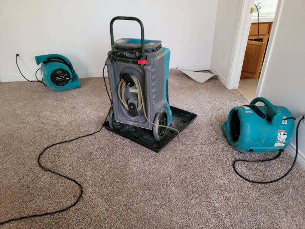 Best Water damage cleanup near me  in Anaconda, MT