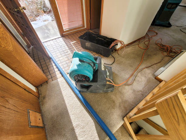 Best Water damage restoration near me  in Anaconda, MT