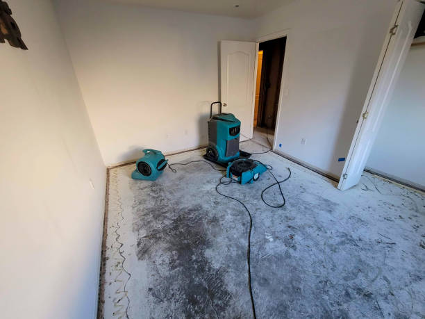 Best Local water damage restoration  in Anaconda, MT