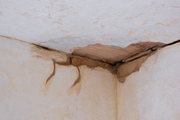 Best Flood damage cleanup  in Anaconda, MT