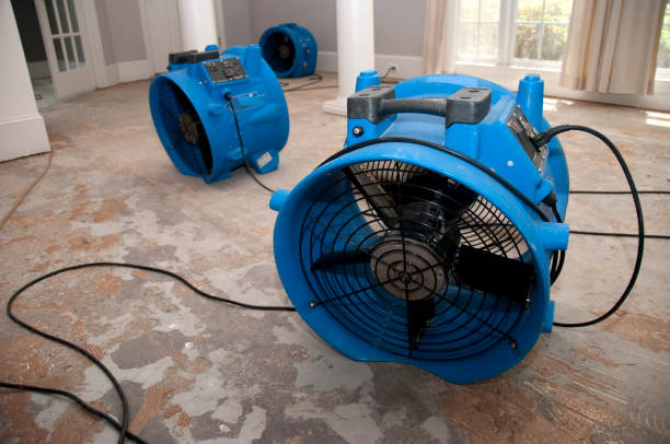 Best Water damage cleanup near me  in Anaconda, MT