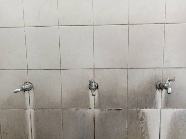 Best Professional water damage repair  in Anaconda, MT
