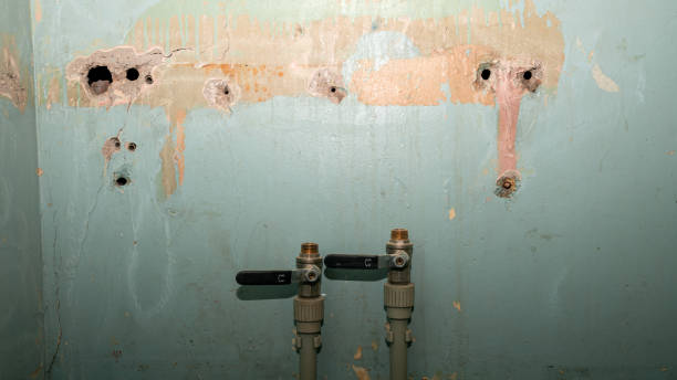 Best Flooded house restoration  in Anaconda, MT