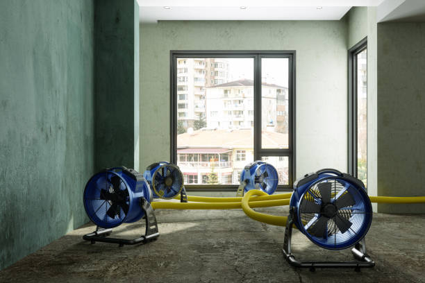 Best Flood restoration services  in Anaconda, MT