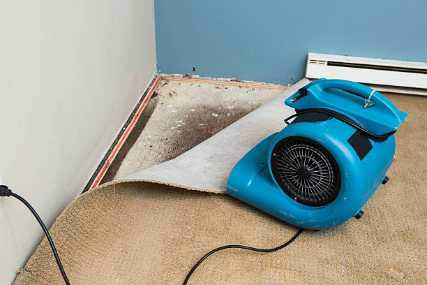 Best Commercial water damage restoration  in Anaconda, MT