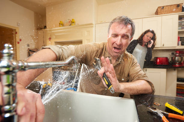Best Mold removal after water damage  in Anaconda, MT